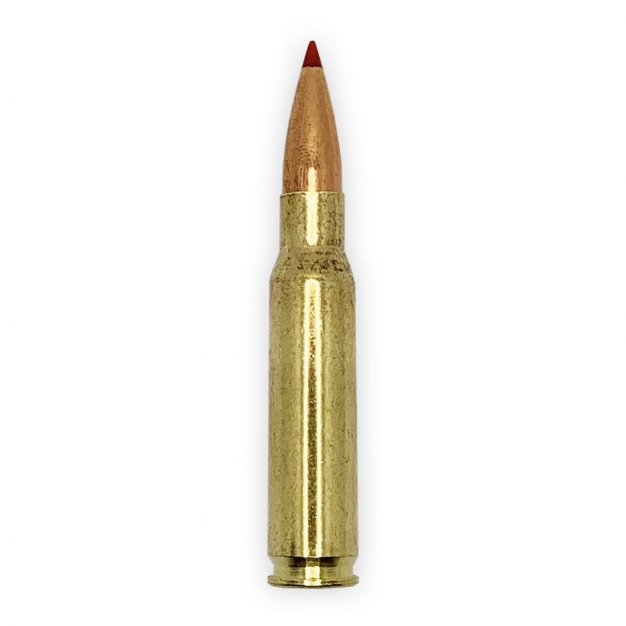 .308 Winchester Ammo